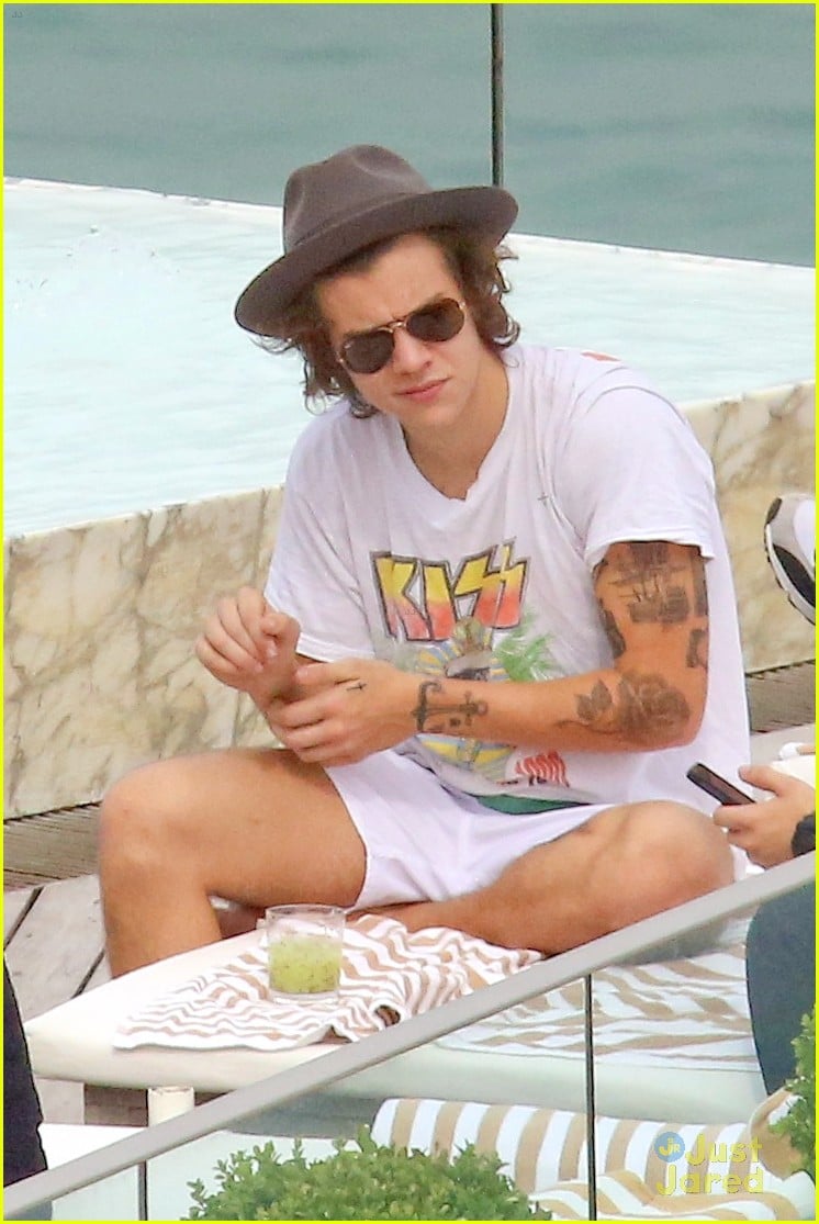 harry styles shirtless rio tossed in pool 12