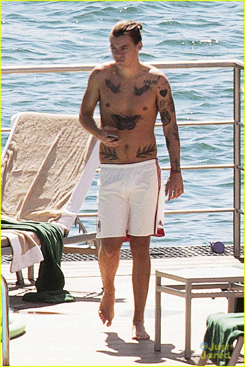 harry styles shirtless ponytail pool italy 16