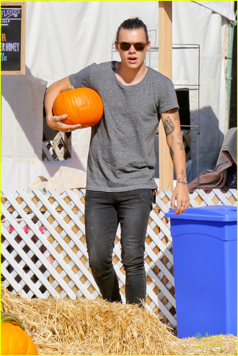 harry styles goes pumpkin picking with erin foster 08