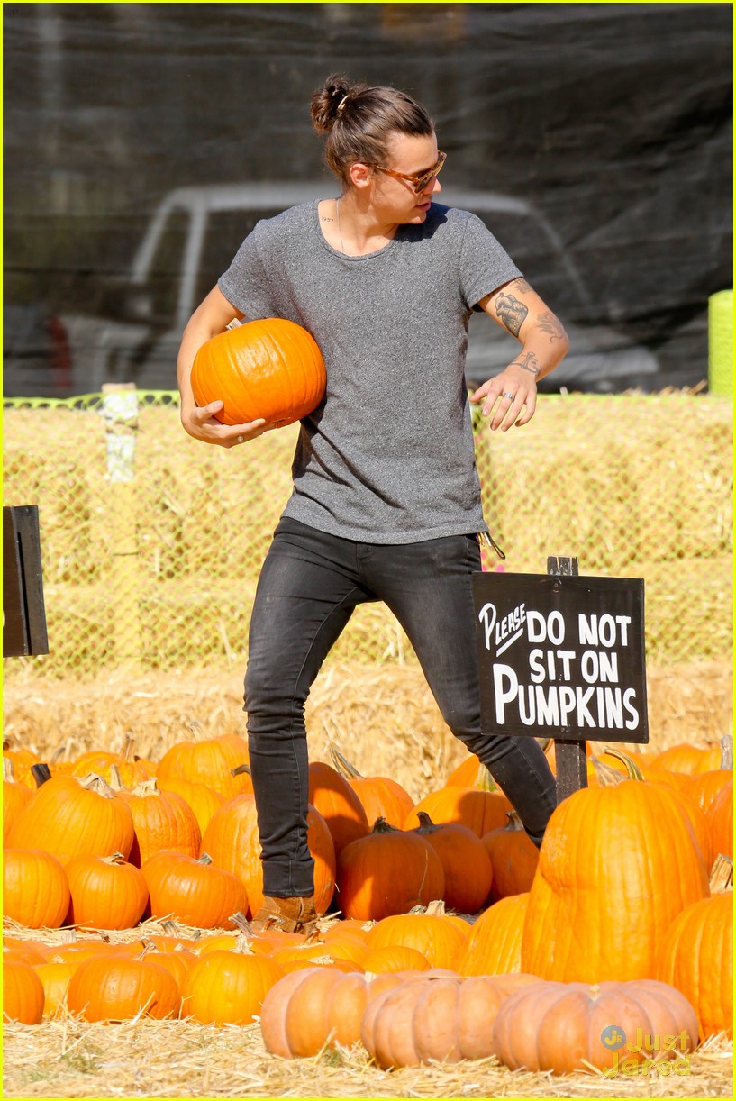 harry styles goes pumpkin picking with erin foster 12