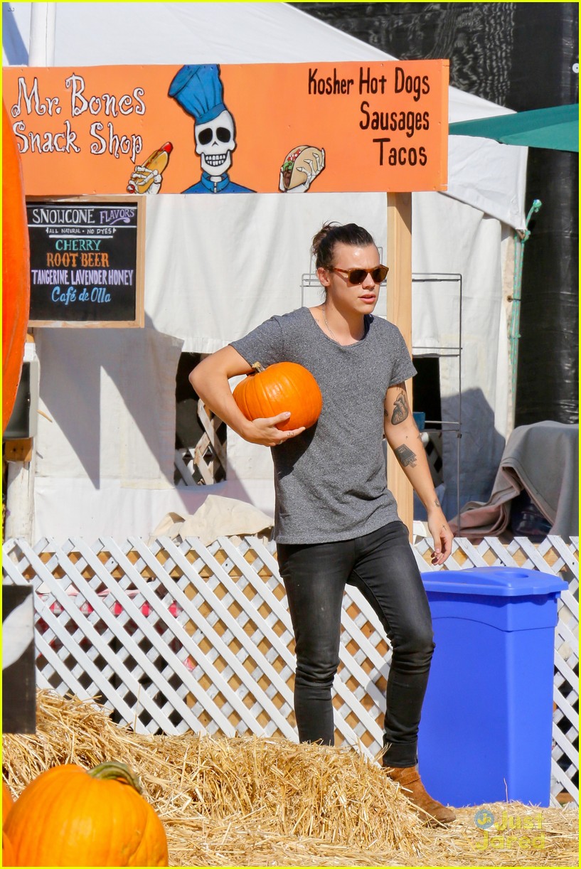 harry styles goes pumpkin picking with erin foster 14
