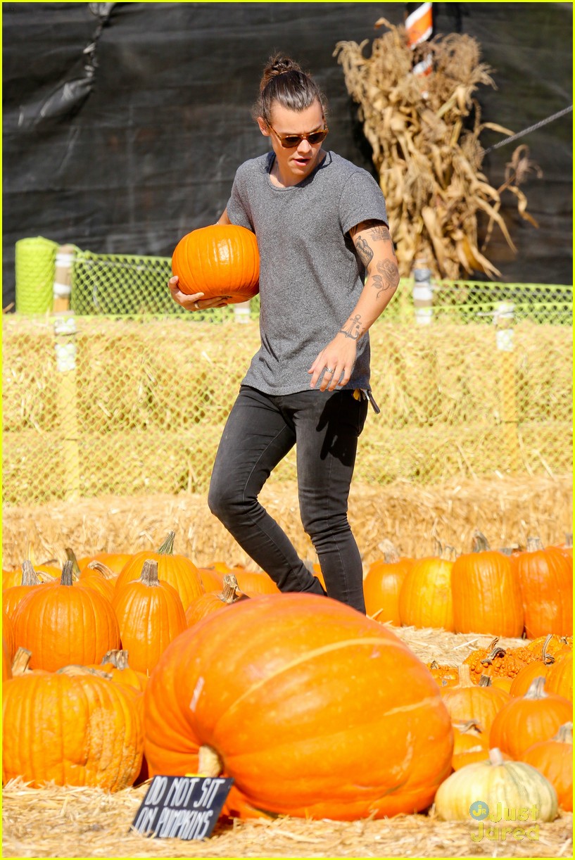 harry styles goes pumpkin picking with erin foster 23