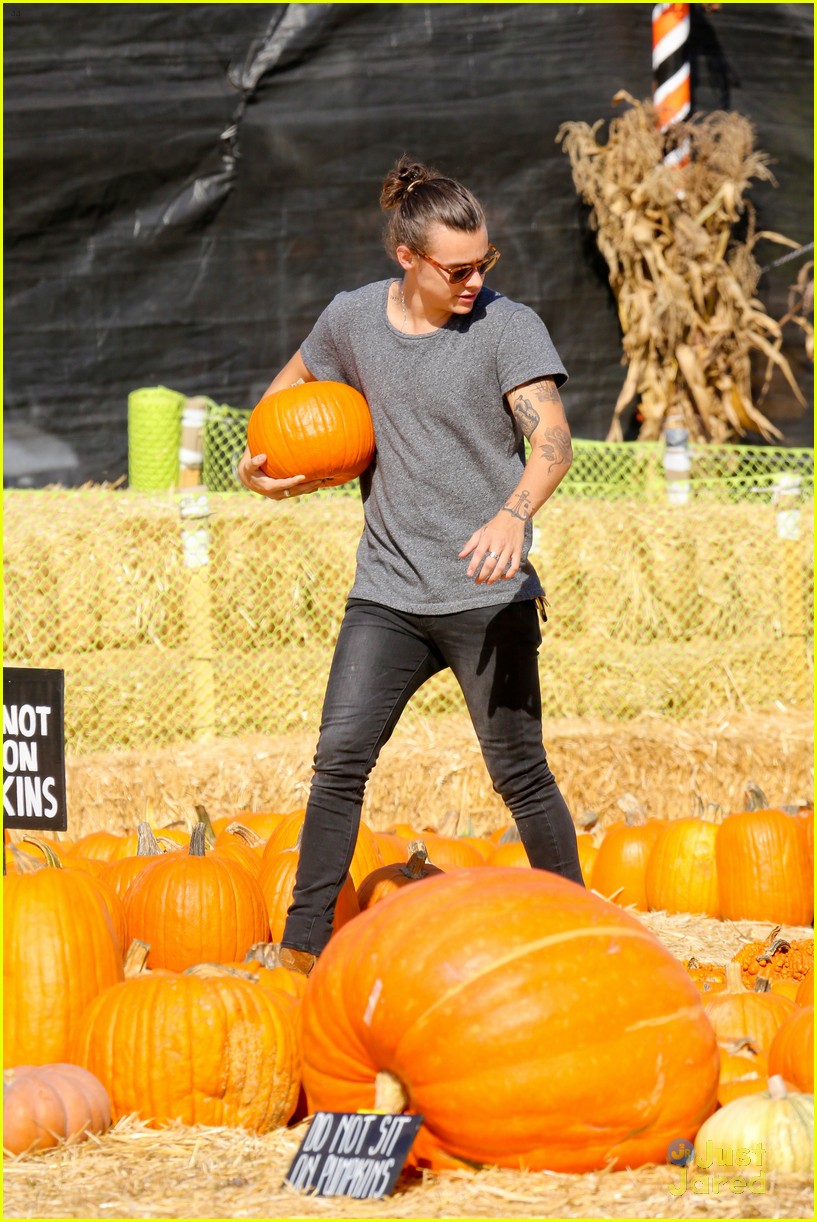 harry styles goes pumpkin picking with erin foster 25