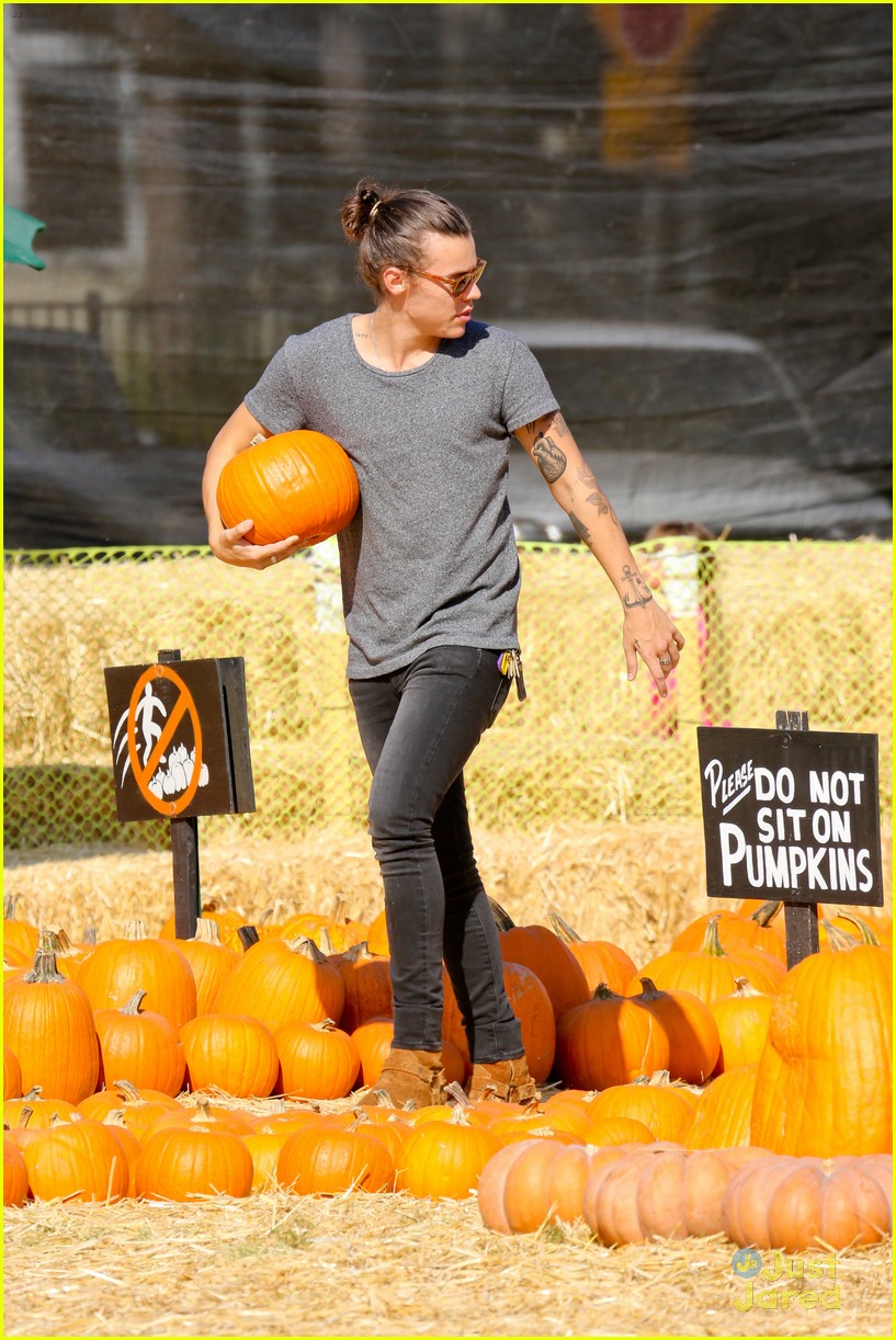 harry styles goes pumpkin picking with erin foster 27