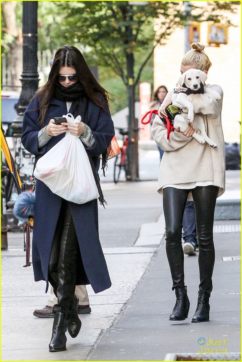 kendall jenner asks who needs boys when we have puppies 09