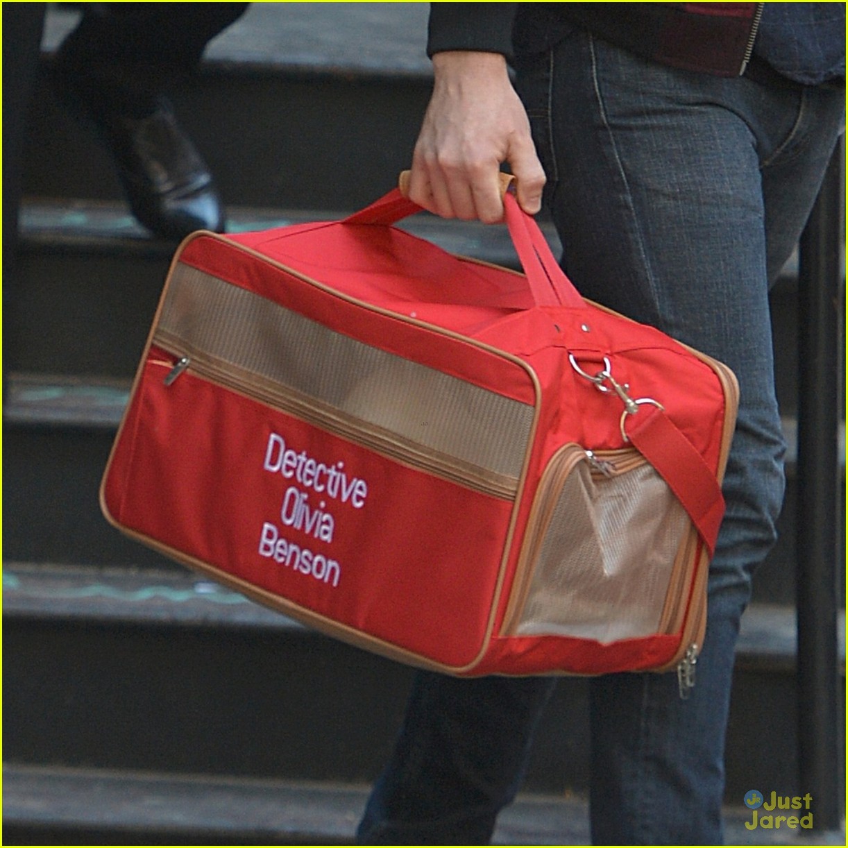 taylor swift has the best cat carrier for olivia benson 02