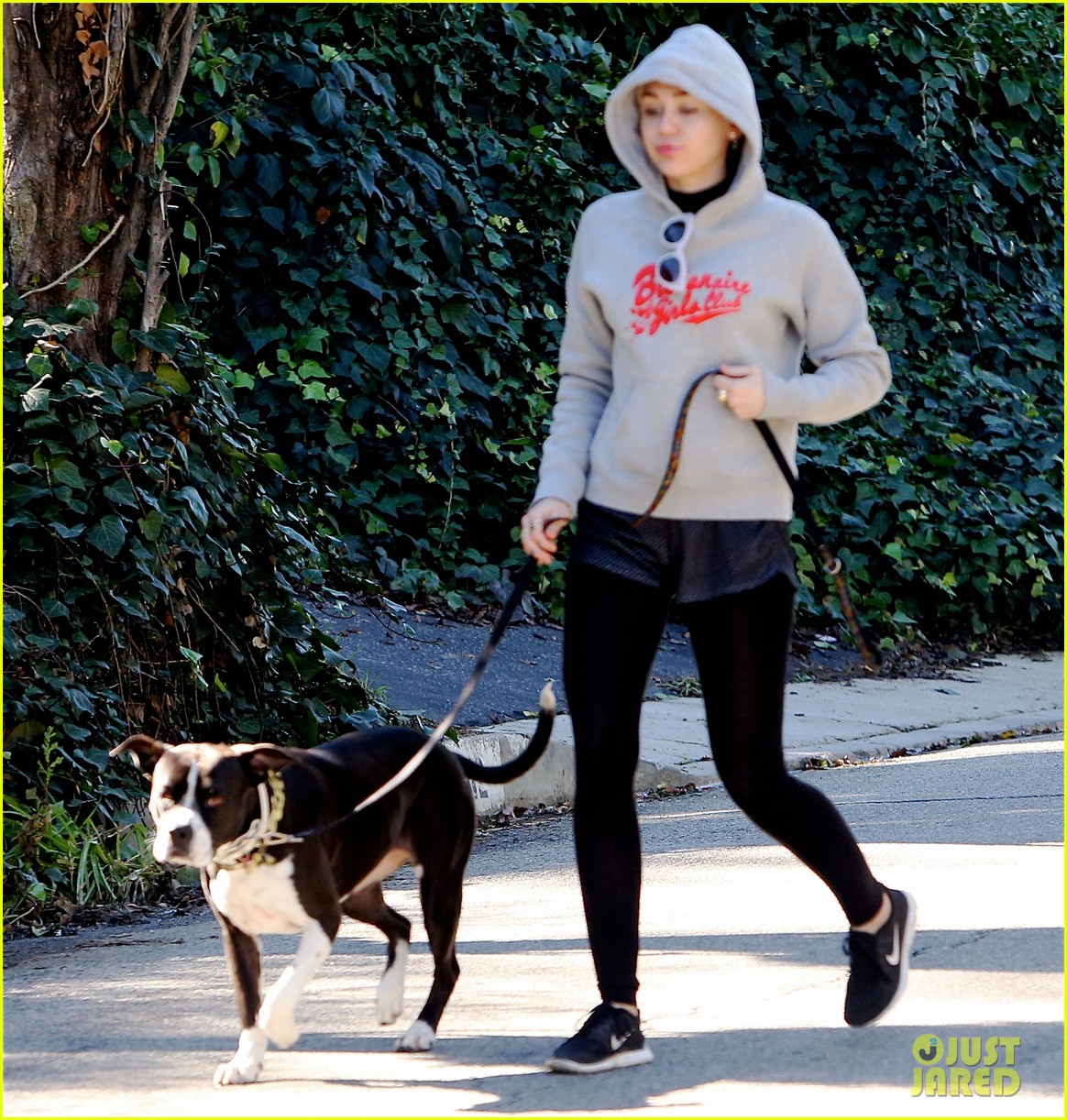 miley cyrus starts her day off with fairy tales 11