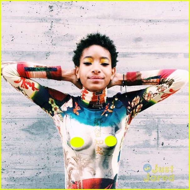 willow smiths free the nipple photo causing controversy 01