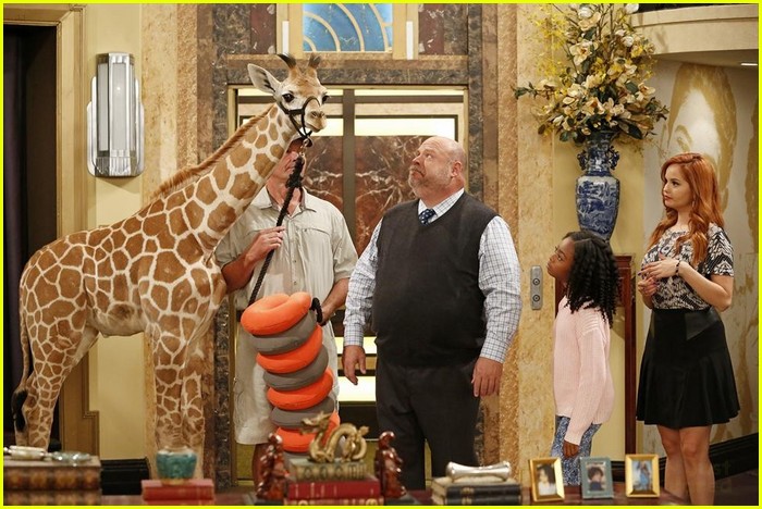 jessie stills giraffe moby scoby 09