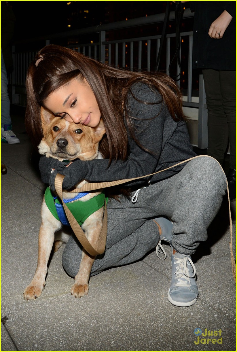 ariana grande is doing amazing things for nyc rescue dogs 02