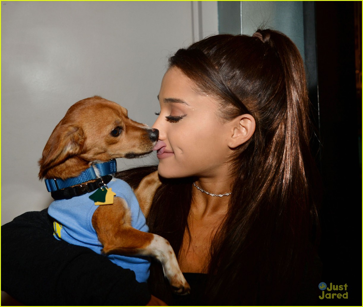 ariana grande is doing amazing things for nyc rescue dogs 03