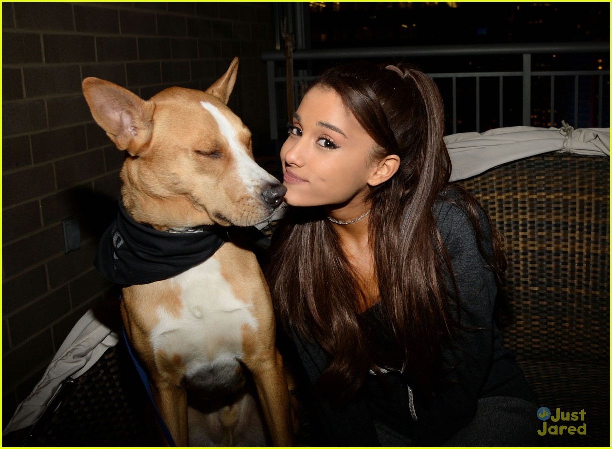 ariana grande is doing amazing things for nyc rescue dogs 05