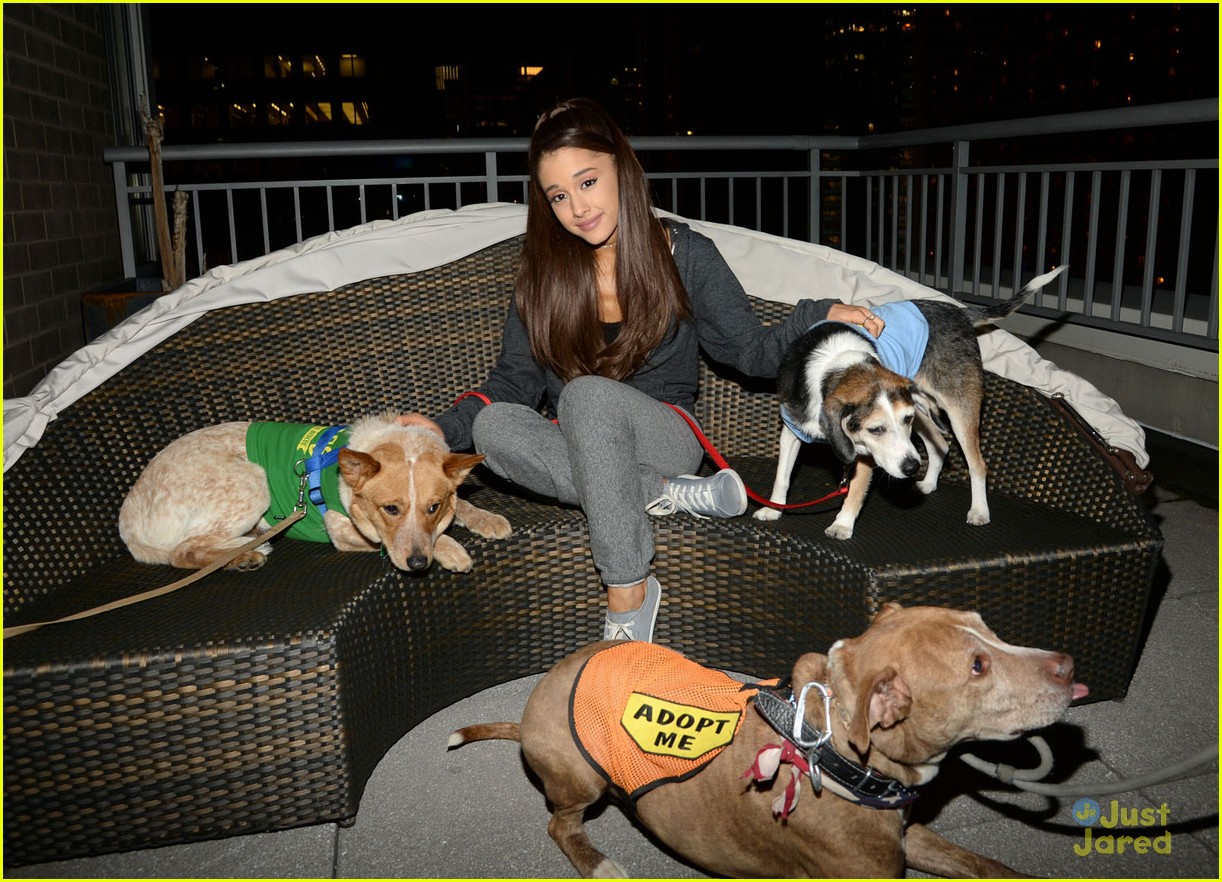 ariana grande is doing amazing things for nyc rescue dogs 10