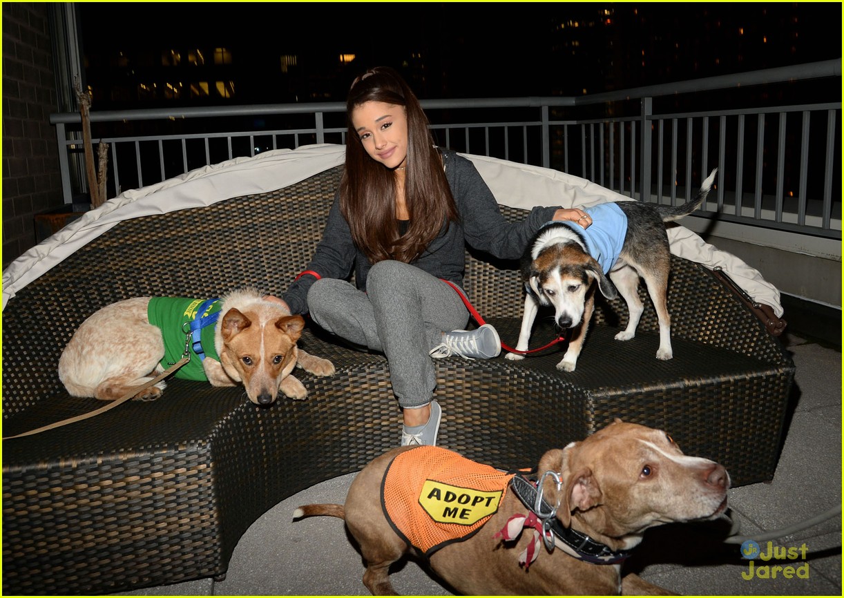 ariana grande is doing amazing things for nyc rescue dogs 11