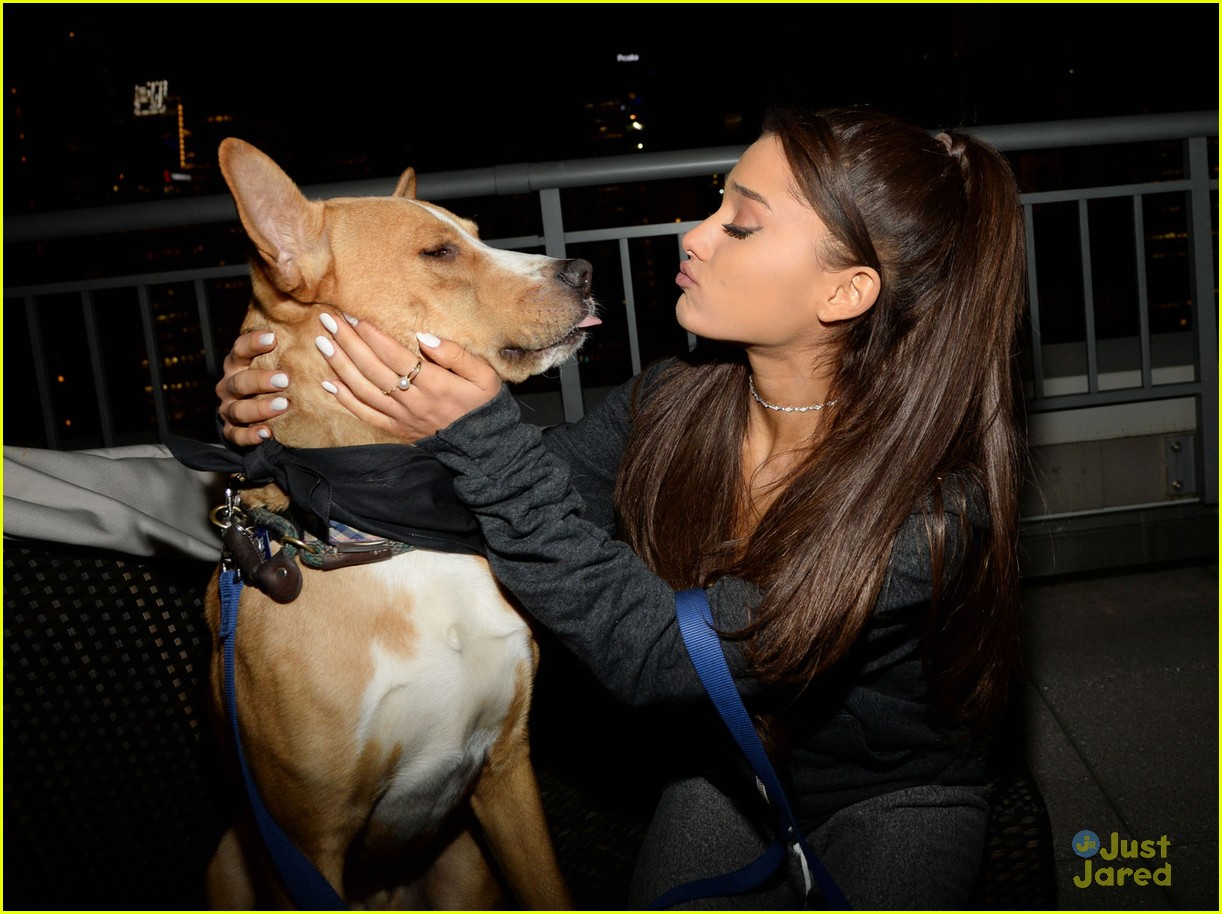 ariana grande is doing amazing things for nyc rescue dogs 12