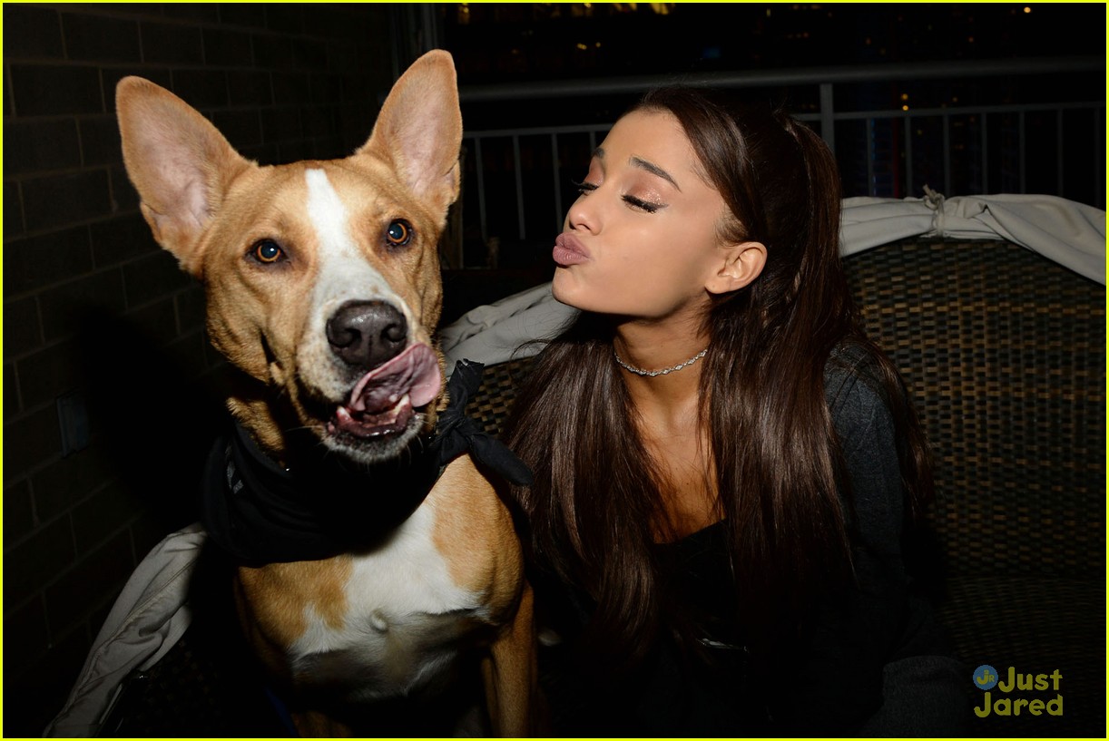 ariana grande is doing amazing things for nyc rescue dogs 14