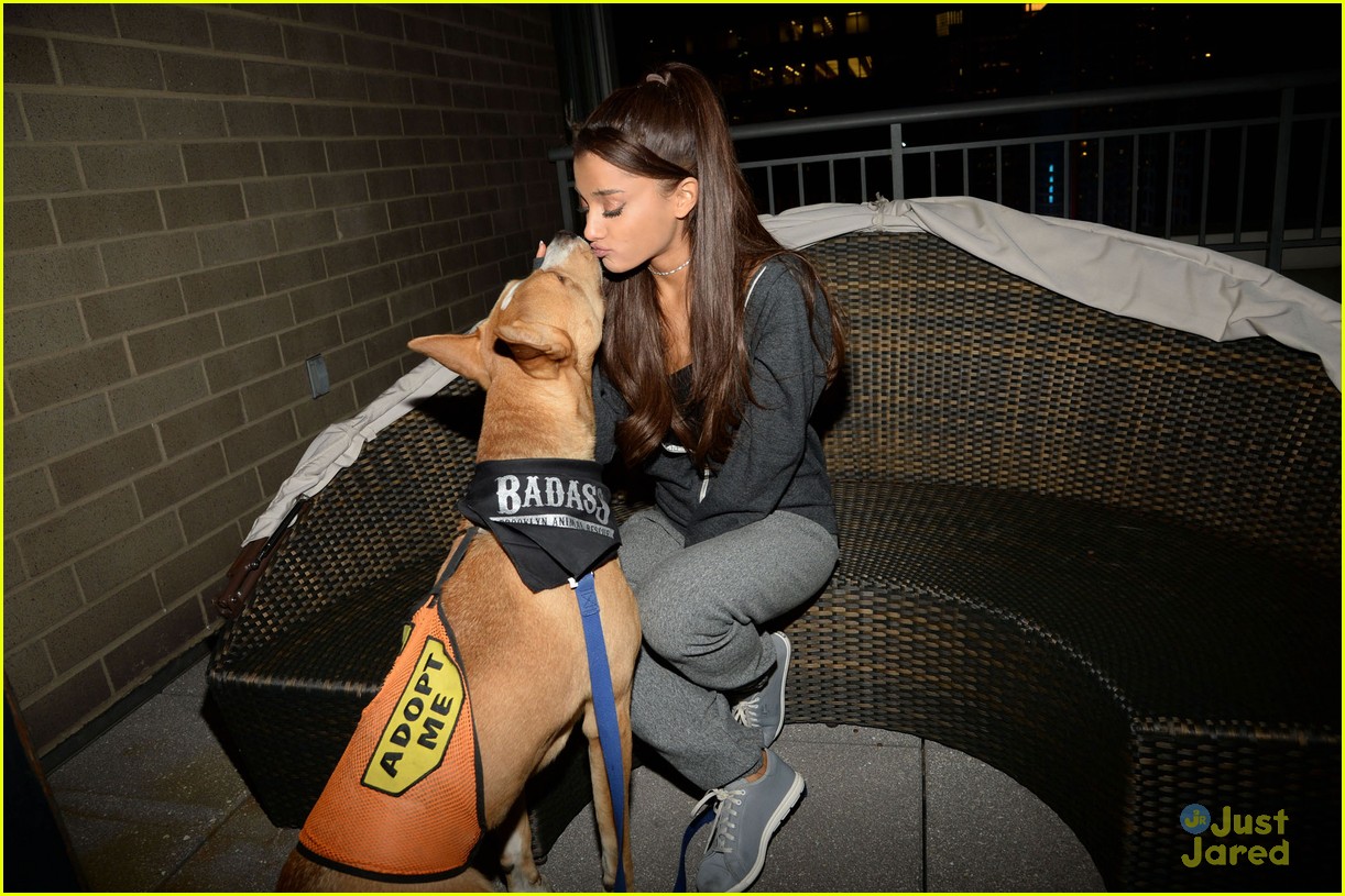 ariana grande is doing amazing things for nyc rescue dogs 15
