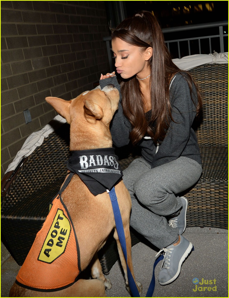 ariana grande is doing amazing things for nyc rescue dogs 16