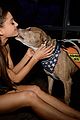 ariana grande is doing amazing things for nyc rescue dogs 06