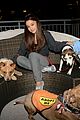 ariana grande is doing amazing things for nyc rescue dogs 11