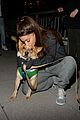 ariana grande is doing amazing things for nyc rescue dogs 17