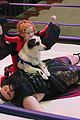dog with blog chloe wrestling stills 02