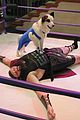dog with blog chloe wrestling stills 10