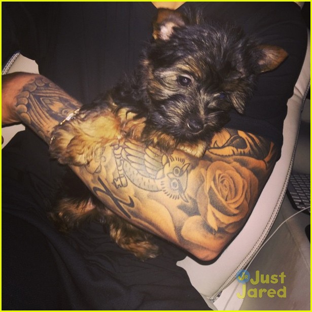 justin bieber debuts adorable new puppy esther 03