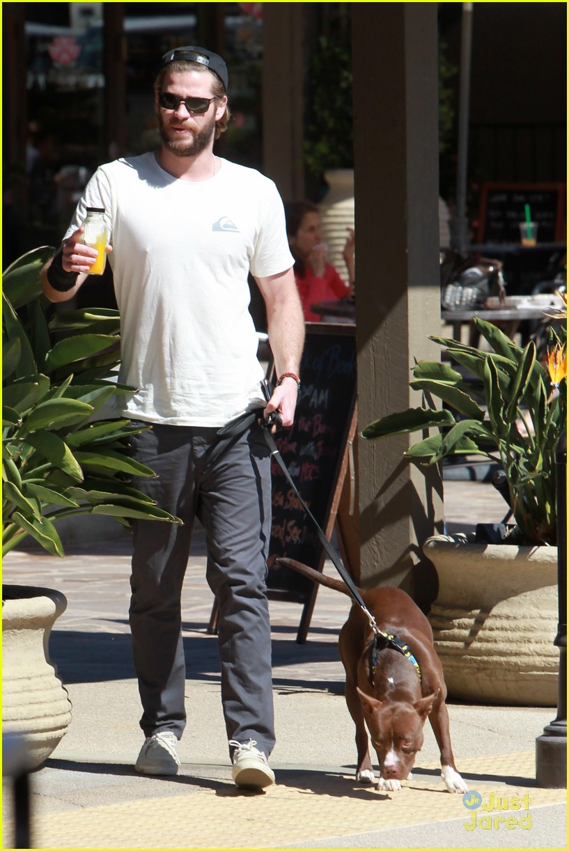 liam hemsworth pup out after independence day news 05