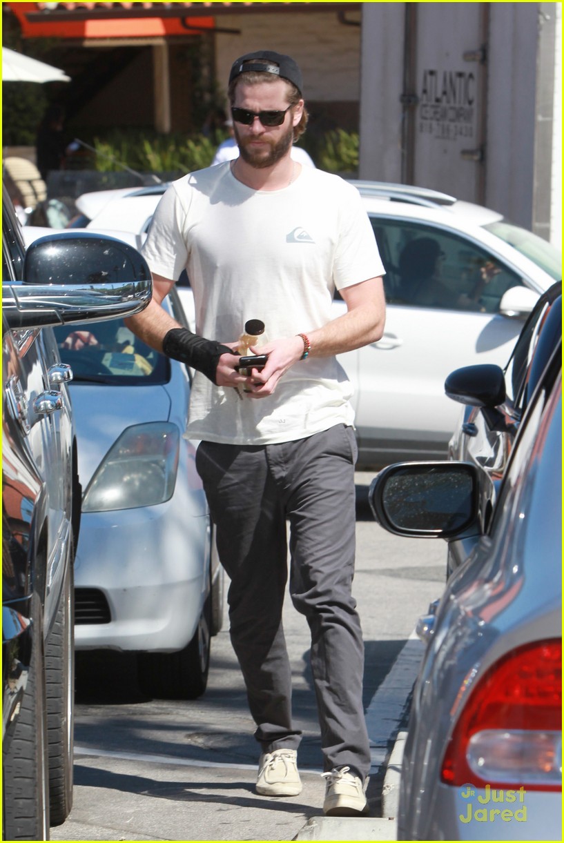 liam hemsworth pup out after independence day news 11