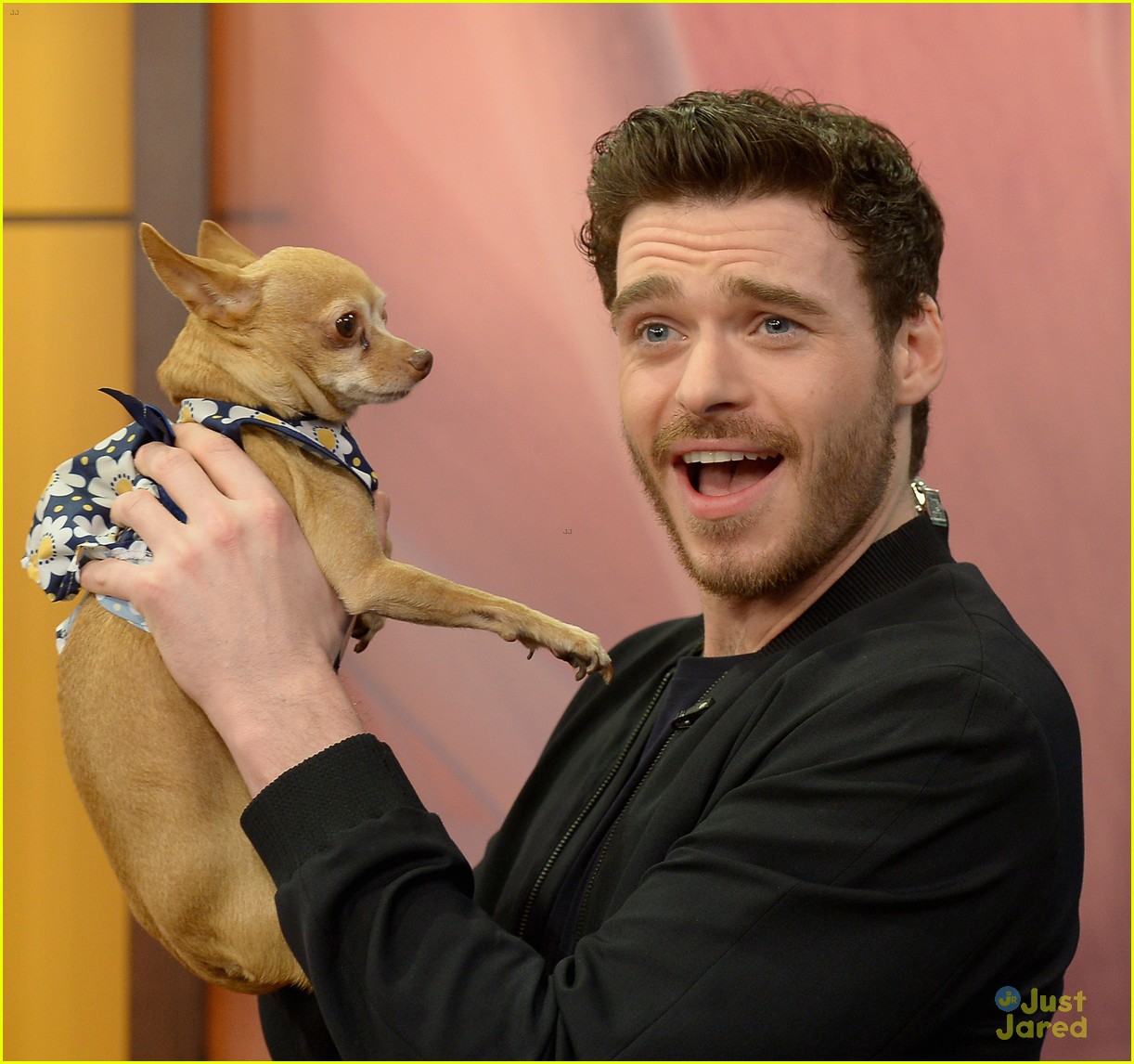 cinderellas richard madden charms us with this cute puppy 02