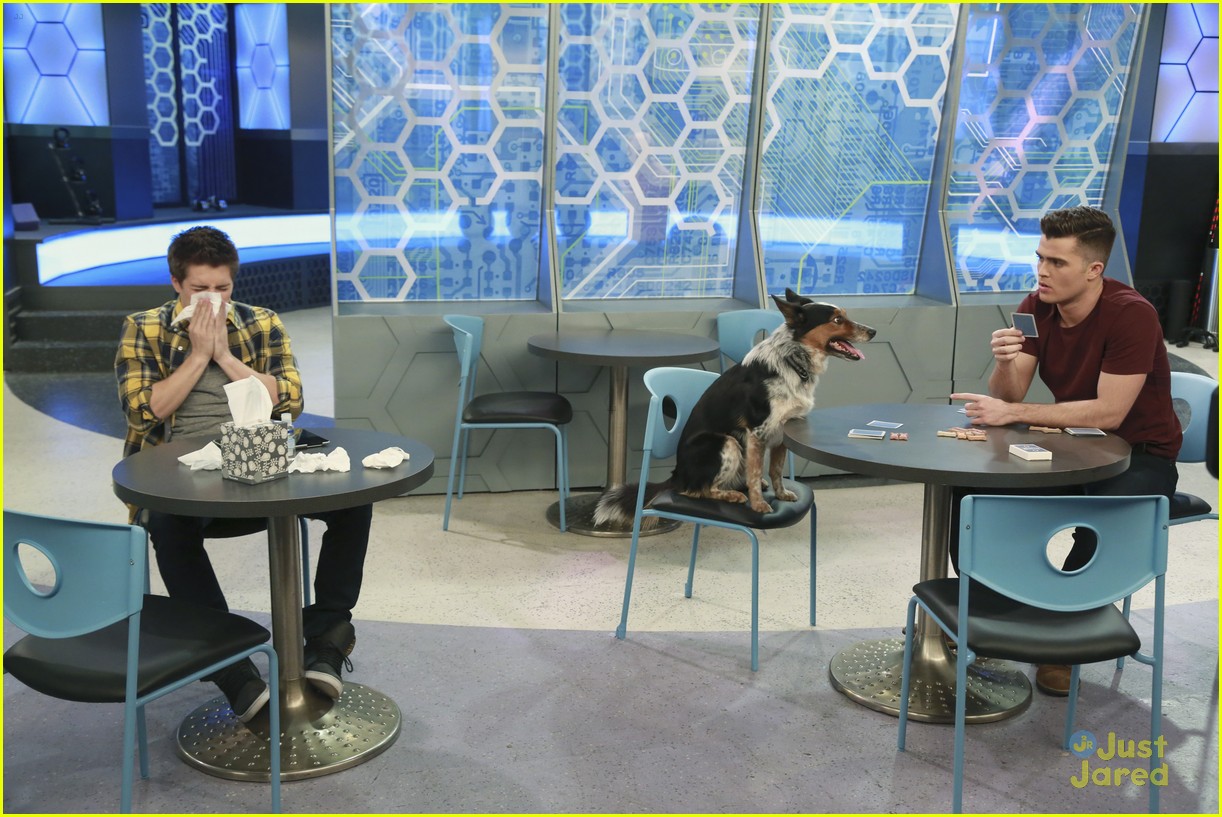mighty med lab rats exclusive look pet episodes 01