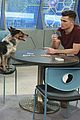 mighty med lab rats exclusive look pet episodes 01