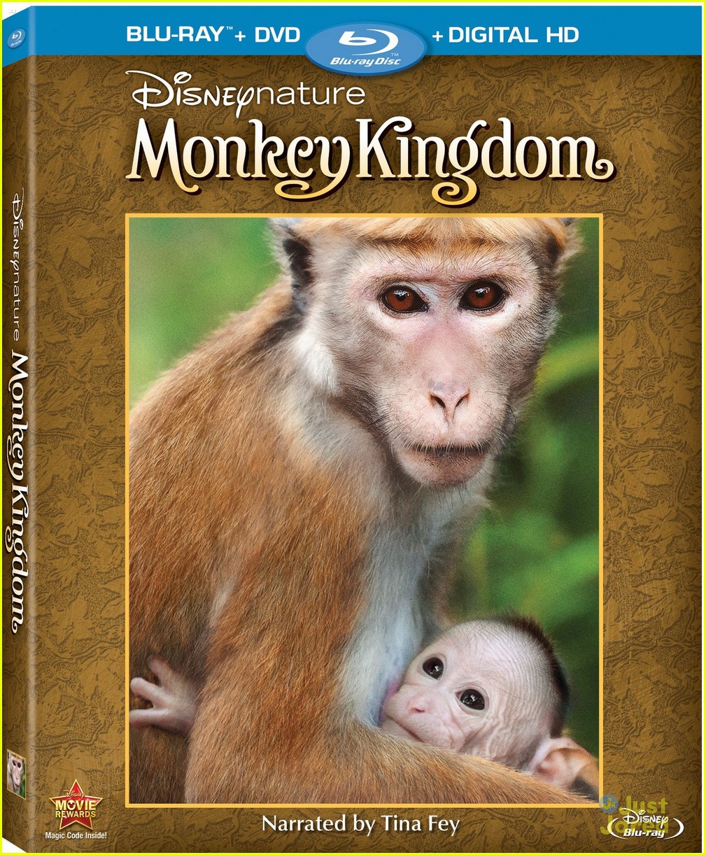 cinderella monkey kingdom shorts collection blurays 04