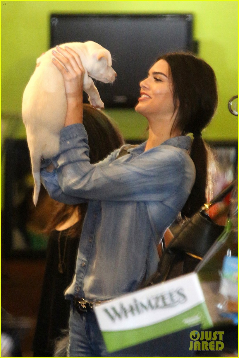 kendall jenner adopts puppy 06