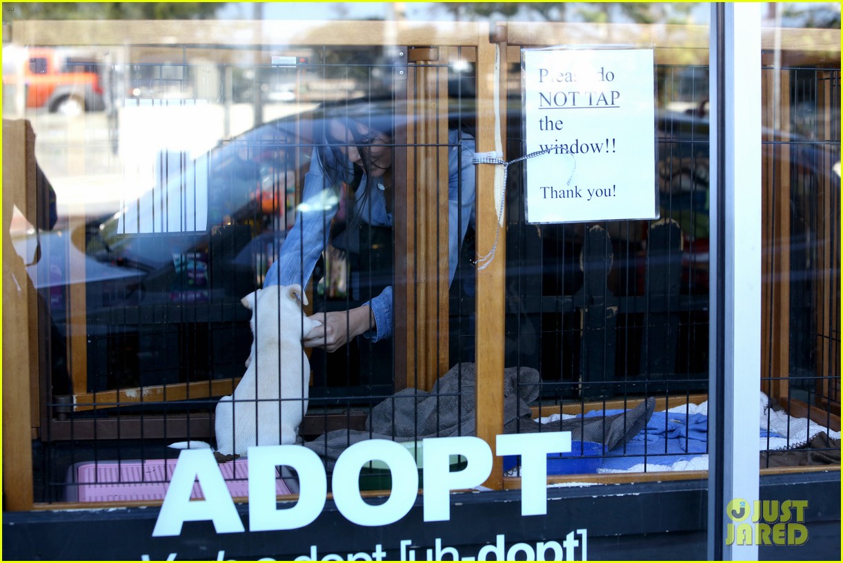 kendall jenner adopts puppy 12