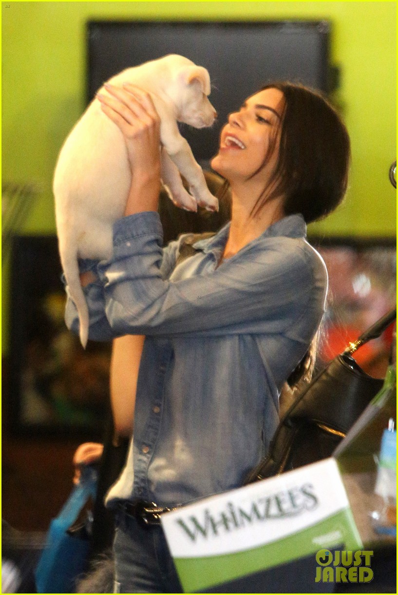 kendall jenner adopts puppy 13