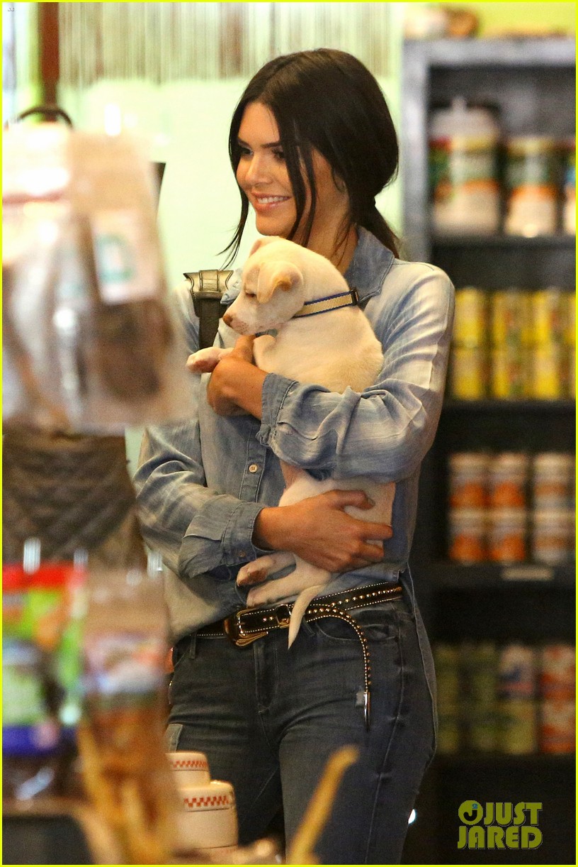 kendall jenner adopts puppy 18