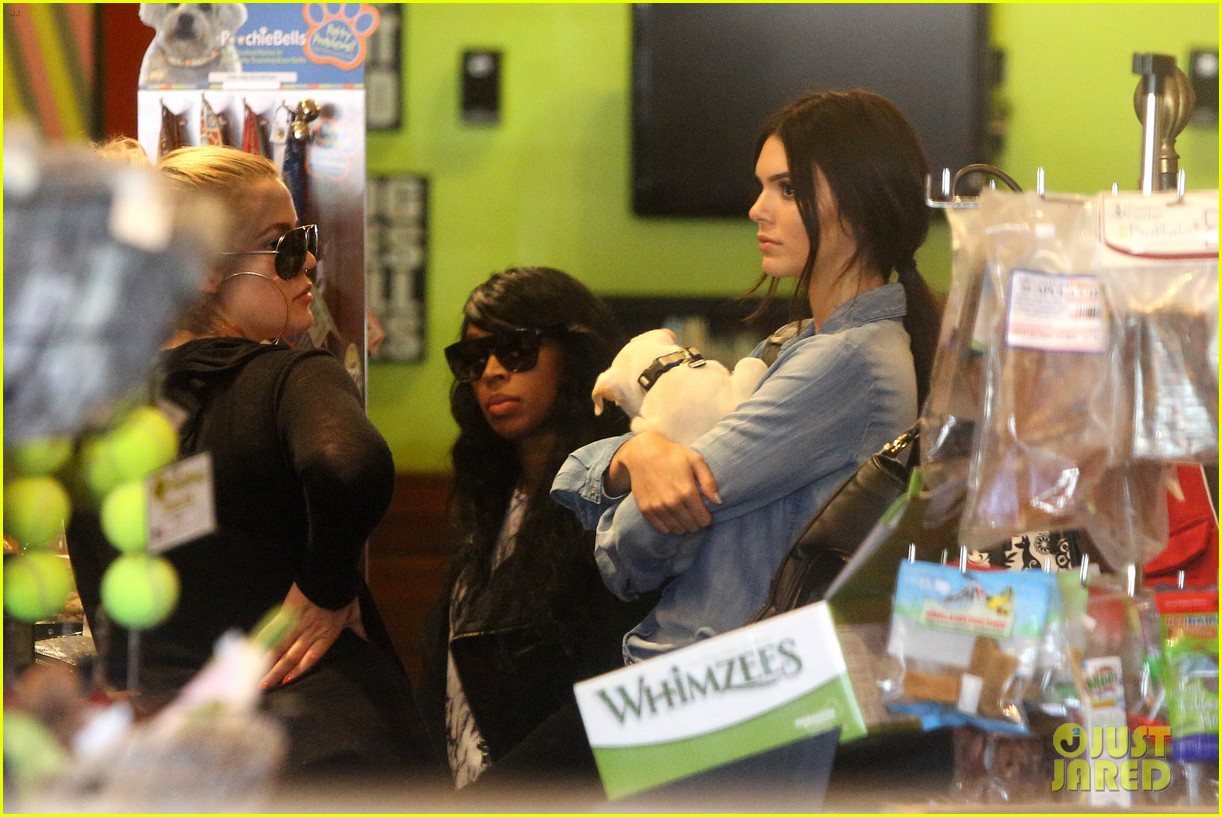 kendall jenner adopts puppy 19