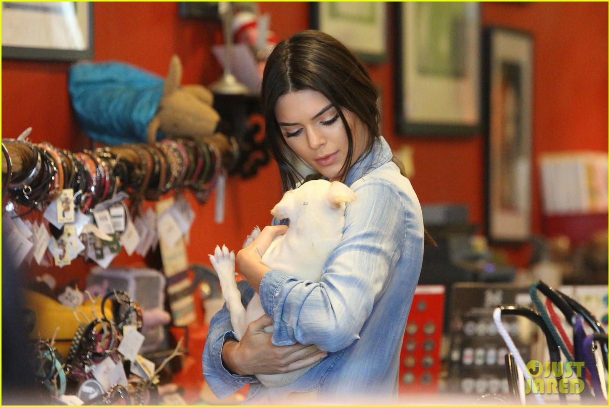 kendall jenner adopts puppy 20