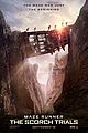 scorch trials new poster see it here 01