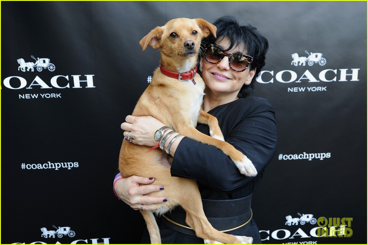 ariana grandes dog hosted a coach event 01