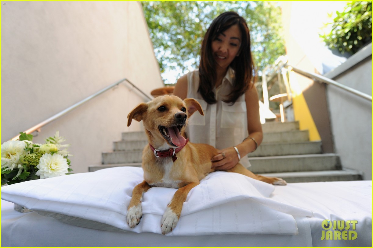 ariana grandes dog hosted a coach event 10