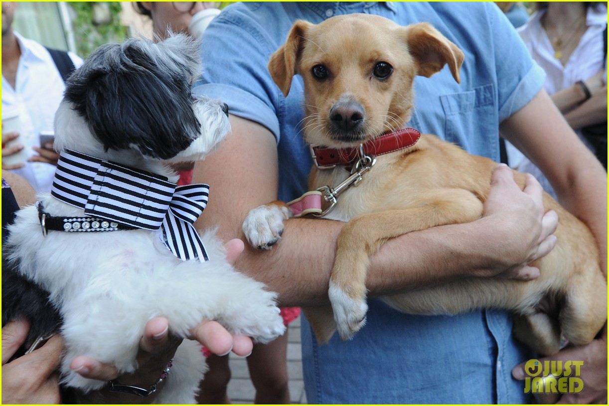 ariana grandes dog hosted a coach event 15