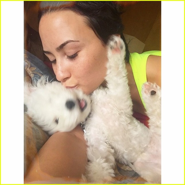 demi lovaot mourns the death of her dog buddy 01