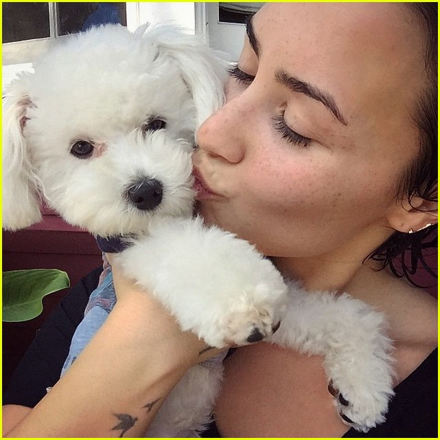demi lovaot mourns the death of her dog buddy 06