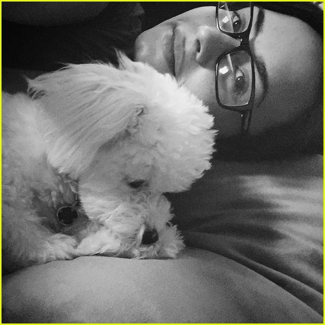 demi lovaot mourns the death of her dog buddy 15