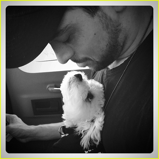 demi lovaot mourns the death of her dog buddy 16