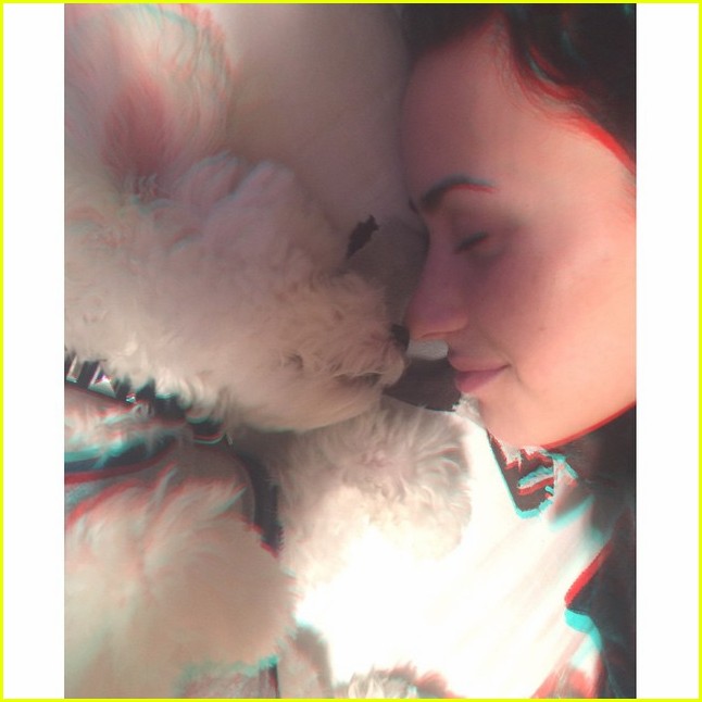 demi lovaot mourns the death of her dog buddy 21
