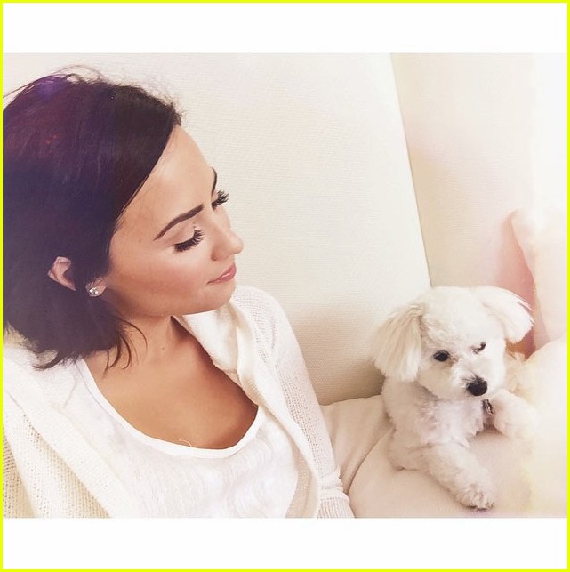 demi lovaot mourns the death of her dog buddy 23